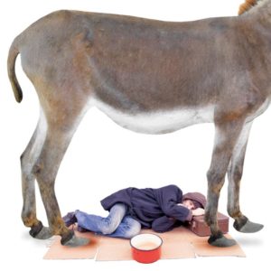 em-lezersvragen-oktober