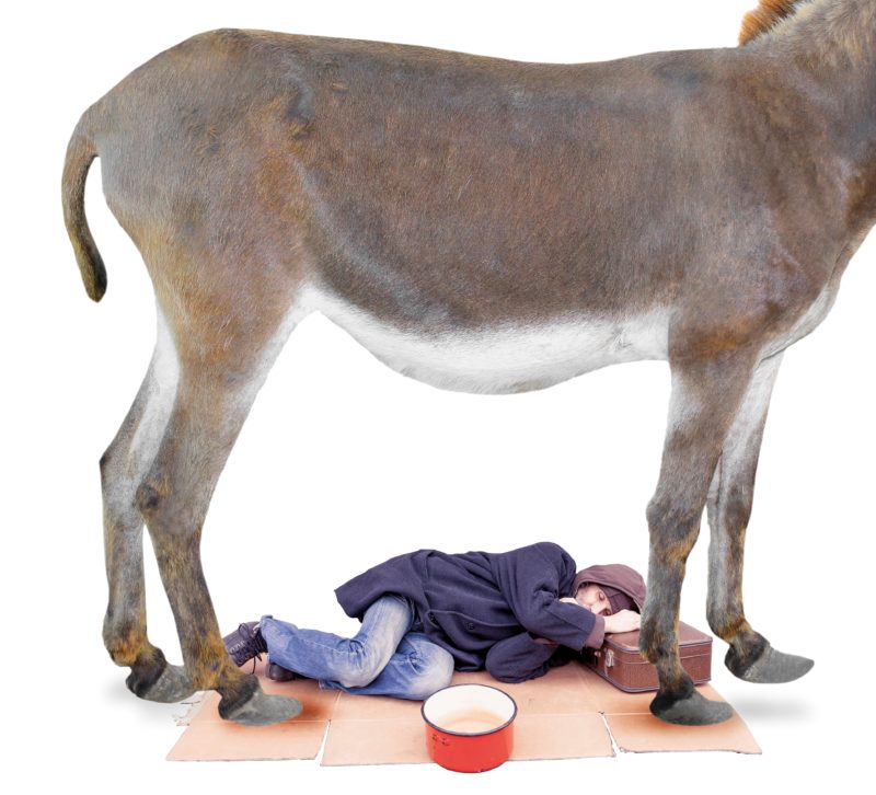 em-lezersvragen-oktober