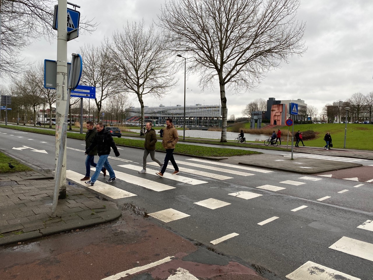 The zebra crossing where the accident took place.