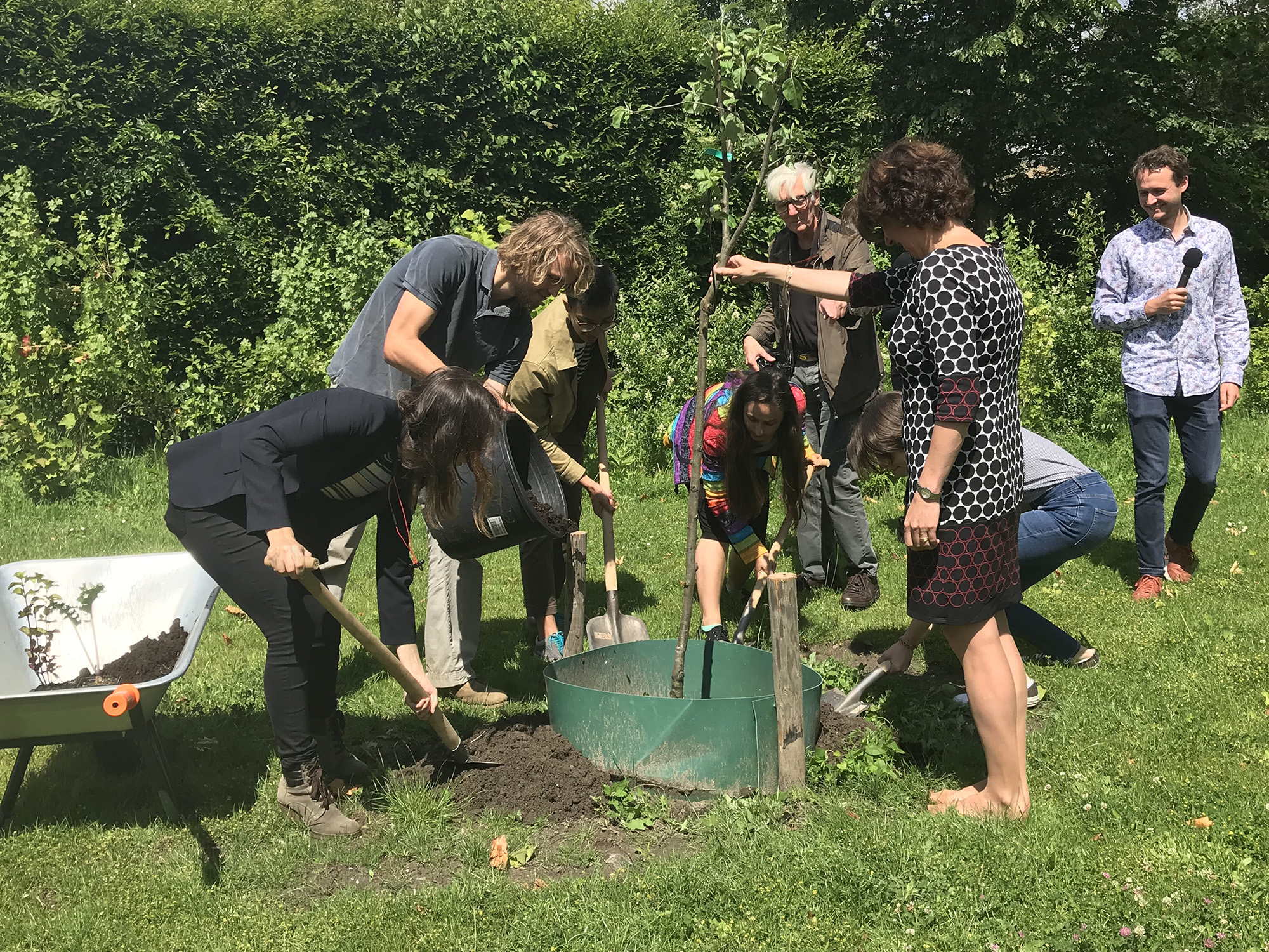 Ristema van Eck houdt de boom vast terwijl de rest haar helpt met aarde storten.
