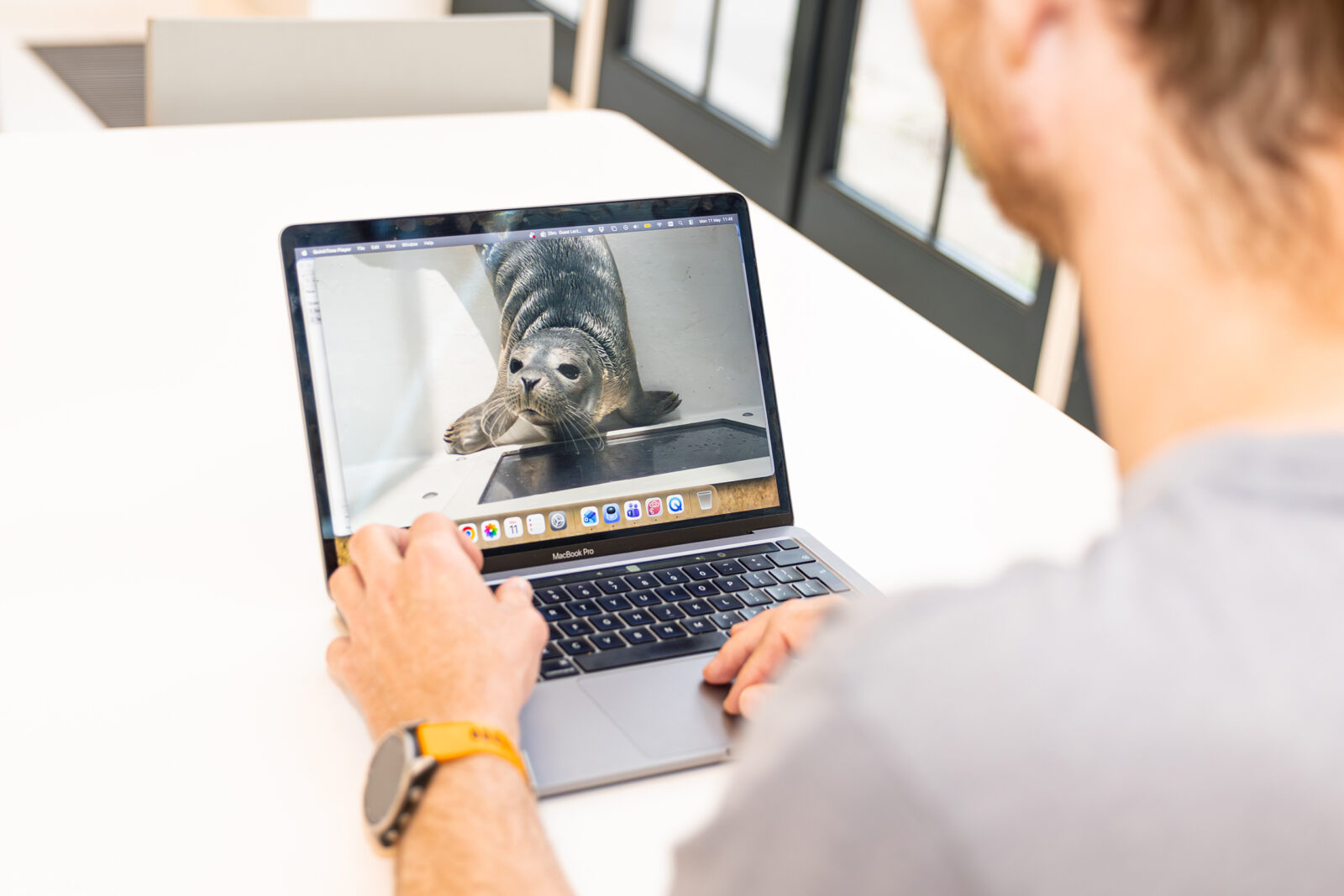 Op de laptop van Koen zijn filmpjes van de zeehonden te zien waarnaar hij onderzoek heeft gedaan.